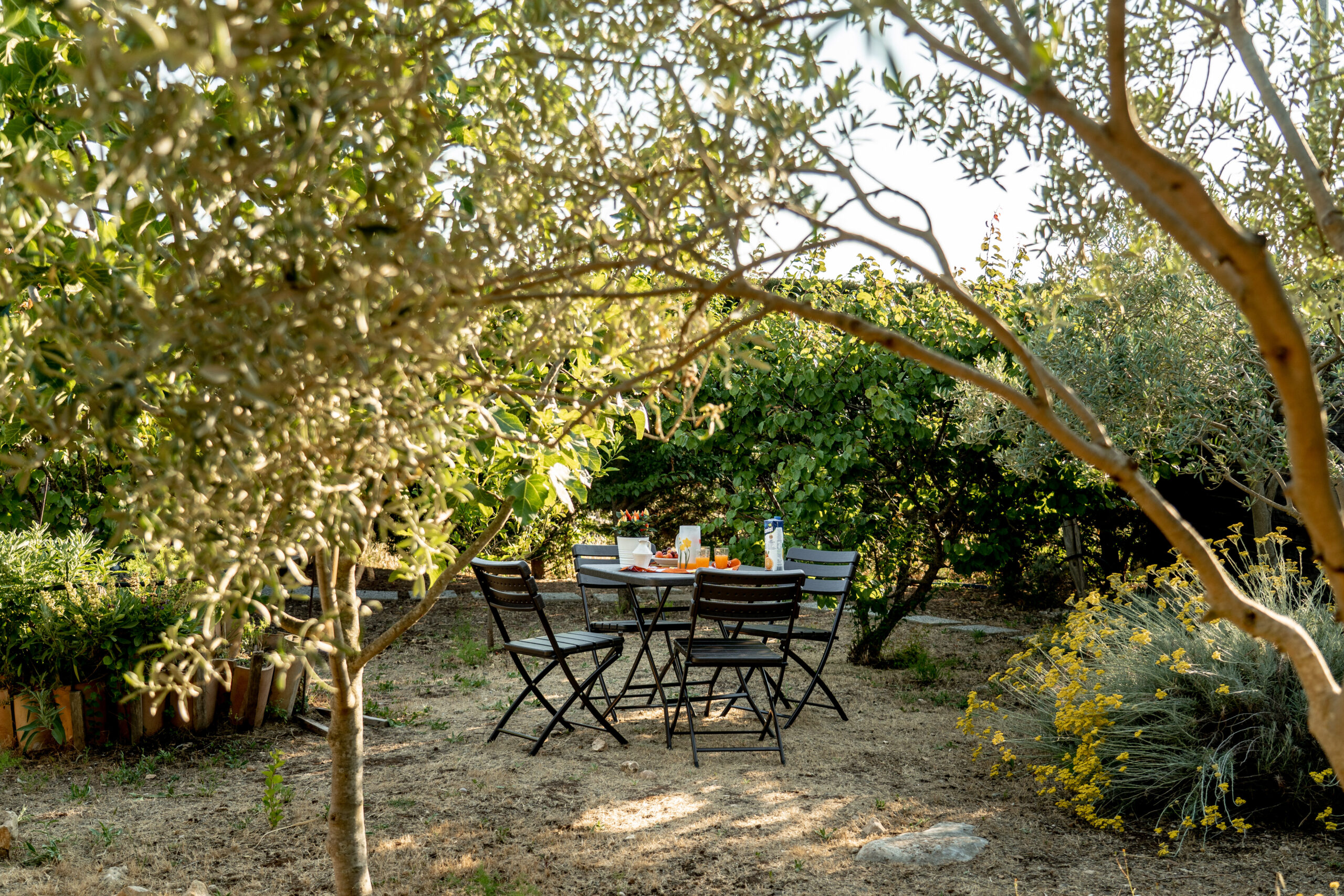 ilice-country-house-gallery-home-4