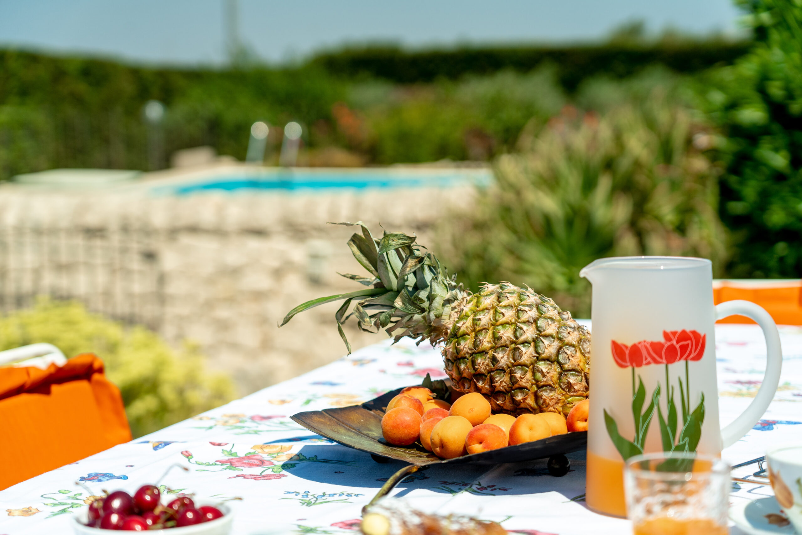 ilice-country-house-gallery-home-5